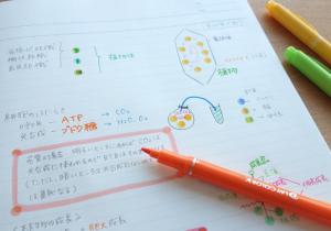 180601_pkclear_2-1.jpg