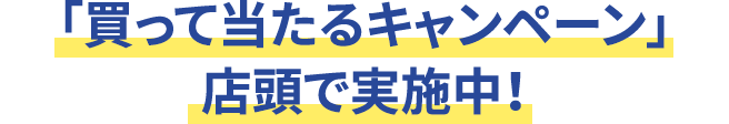 「買って当たるキャンペーン」店頭で実施中!