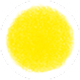 たんぽぽ
