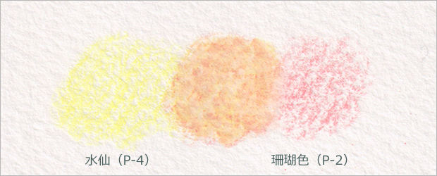 水仙（P-4）×珊瑚色（P-2