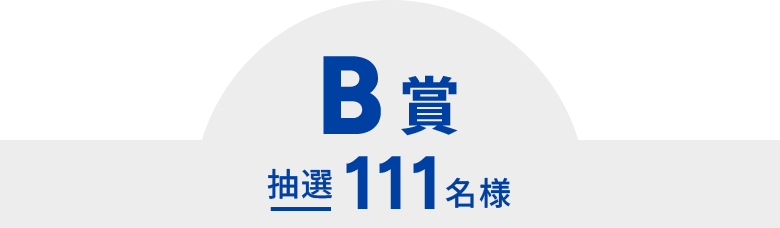 B賞 抽選111名様